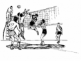 /album/fotogaleria/volleyball3yv8-png/